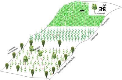 Soil greenhouse gas emissions from different land utilization types in Western Kenya